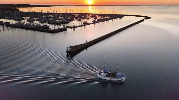 Ein Schiff fährt bei Sonnenaufgang aus dem Maasholmer Hafen.