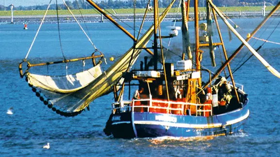 Fischkutter