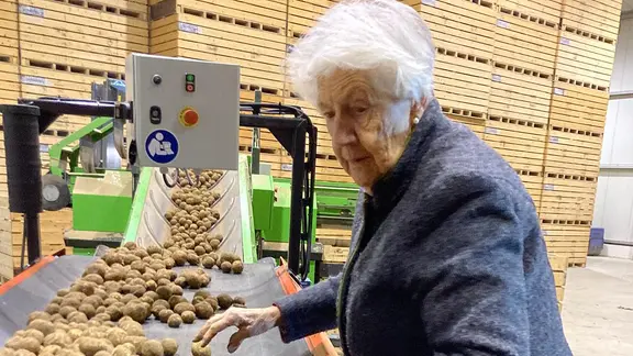 Oma Ika steht an einem Kartoffelband