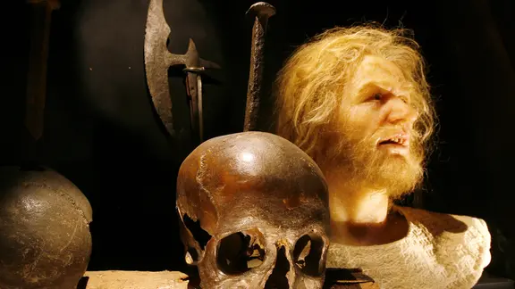 Der angebliche Schädel des Freibeuters Klaus Störtebeker und die Nachbildung seines Kopfes im Museum für Hamburgische Geschichte.
