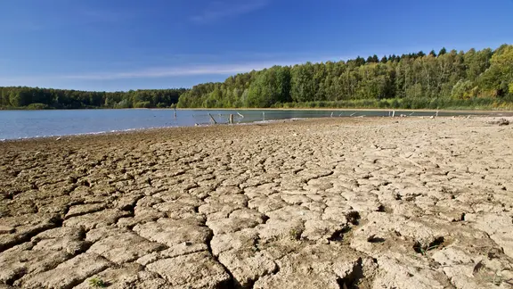 Dürre am Dammer Bergsee.