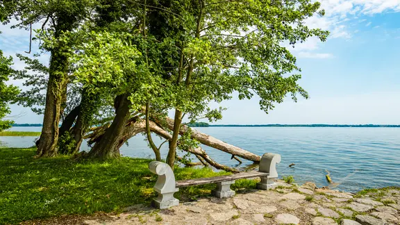 Eine Bank steht am Ufer des Schweriner Sees im Park von Schloss Wiligrad.