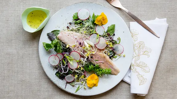 Sprossensalat mit Räucherforellenfilet und Radieschen auf einem Teller