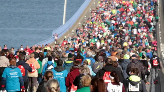 Tausende Menschen laufen beim Rügenbrückenmarathon über die Rügenbrücke.