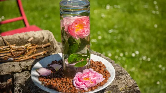 Eine Bienentränke mit Blätton und Wasserglas