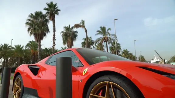 Ein Ferrari steht als Luxussymbol unter Palmen.