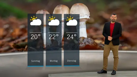 NDR Moderator Sebastian Wache steht im Studio mit der Wettervorhersage.