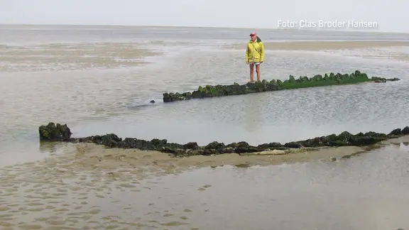 Schiffswrack im Watt vor der Insel Amrum