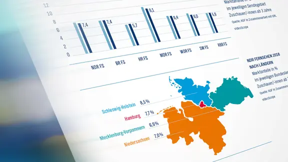 Blick auf eine Seite mit Grafiken und Tabellen