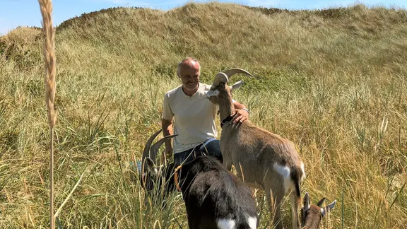 Matthias Jacobsen bietet auf Sylt geführte Wanderungen mit seinen Ziegen durch die Dünen an.