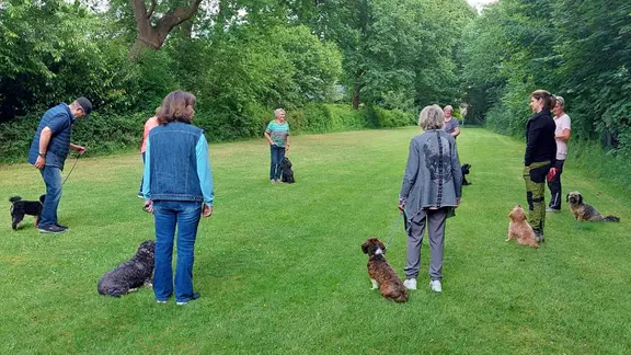 Menschen stehen mit ihren Hunden auf einer Wiese im Kreis. 