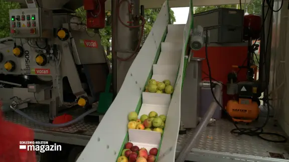 Äpfel auf einem Förderband