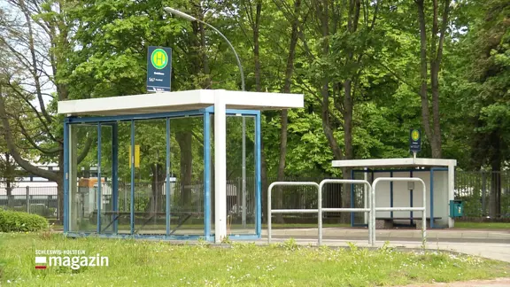 Zwei moderne Bushaltestellen mit Glasüberdachung stehen nebeneinander auf einer Grünfläche am Rand eines Parks.