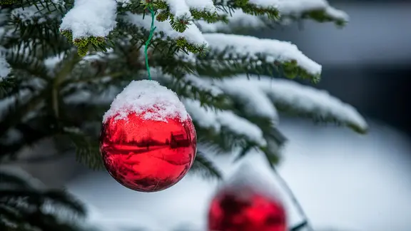 An einer verschneiten Tanne hängt eine glänzende rote Christbaumkugel.