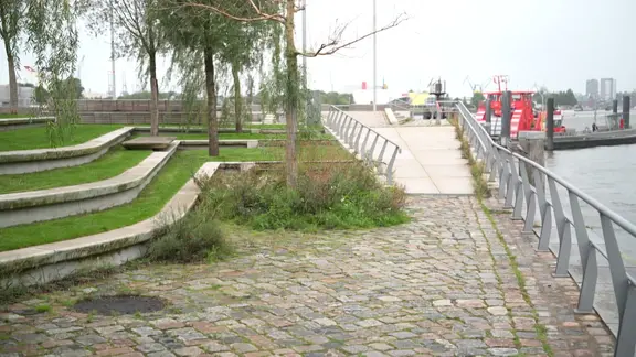 Begrünte Uferpromenade mit Bäumen und Pflasterweg am Wasser, im Hintergrund Boote und Hafenanlagen.