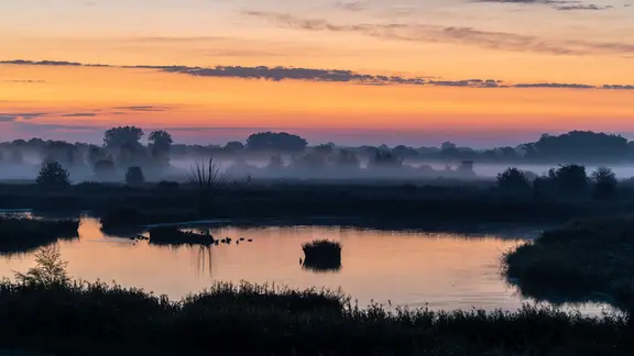 Das Bild zeigt den Sonnenaufgang im Naturschutzgebiet Fehlingsbleck bei Echem.