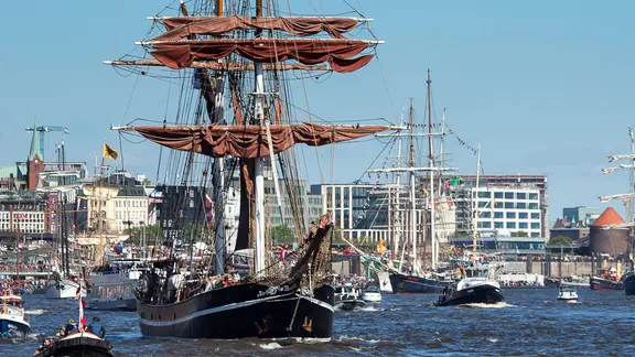 Schiffsparade im Hamburger Hafen
