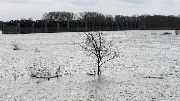 Hochwasser an der Elbe bei Dömitz