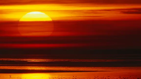 Stimmungsvoller Sonnenuntergang über dem Wattenmeer mit Vögeln.