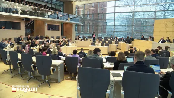 Viele Politiker und Politikerinnen sitzen im Landtag.