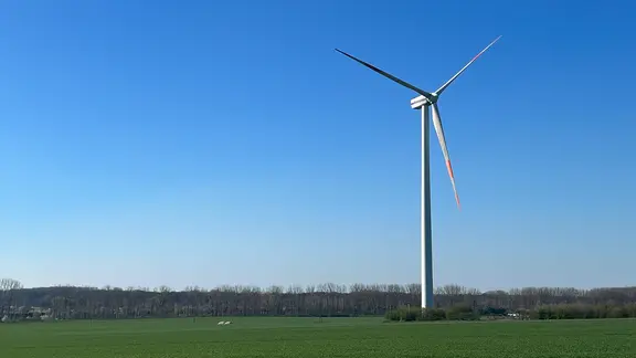 Ein Windrad steht auf einem Feld.