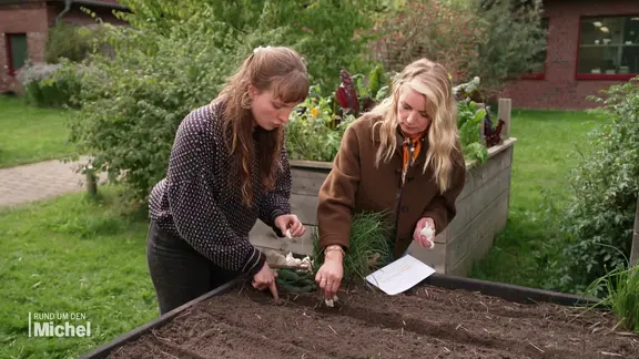 Greta Karcher und Dina Hille pflanzen Knoblauch.