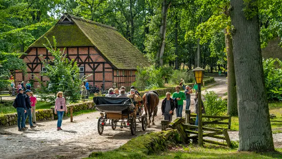 Besucher und eine Pferdekutsche im Heidedorf Wilsede