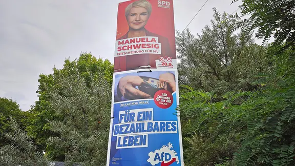Wahlplakate der SPD und der AfD hängen in MV an einem Laternenmast.