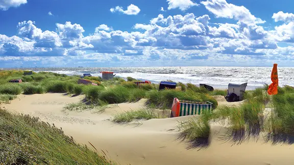Vereinzelte Strandkörbe stehen in den Dünen der Nordseeinsel Borkum.