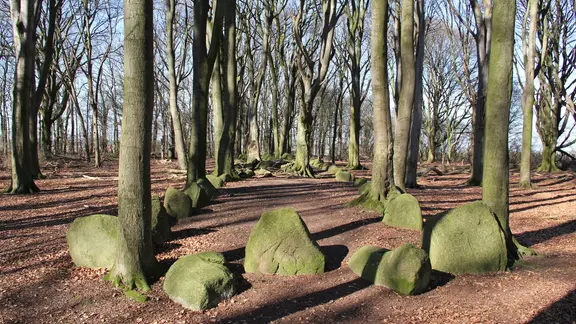 Die Großsteingrabanlage bei Grundoldendorf (2013)