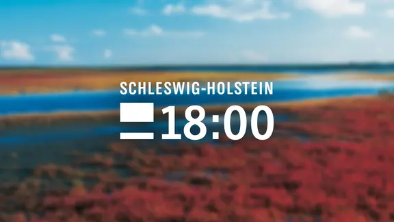 Logo der Sendung Schleswig-Holstein 18:00 Uhr