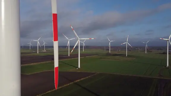 Zahlreiche Windräder mit Rot-Weißen Rotorblättern stehen auf offener Fläche.