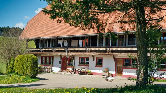 Der Fallerhof im Schwarzwald