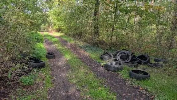 In einem Wald in Drakenburg haben Unbekannte illegal Altreifen entsorgt.