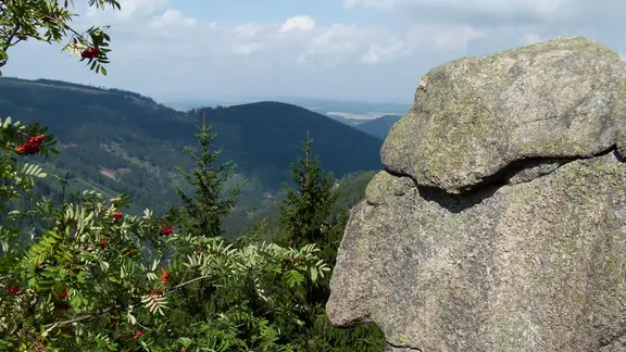 Ein Blick von einem Berg im Harz ins Tal.