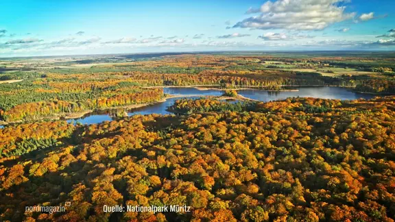 Eine Fotografie zeigt den Nationalpark Müritz.