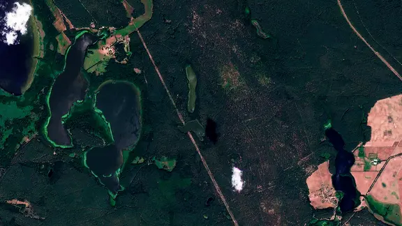Der Mürlitz-Nationalpark vor dem Waldbrand im Juli 2026.
