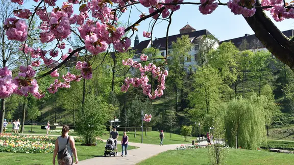Kurpark und Schloss in Bad Iburg.