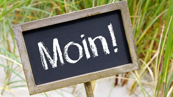 Schild mit der Aufschrift "Moin"