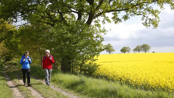 Zwei Wanderer vor einem blühenden Rapsfeld in der Mecklenburgischen Schweiz.