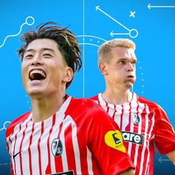 Grafik von Suzuki und Ginter