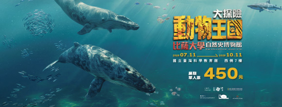 動物王國大探險展-比薩大學自然史博物館 