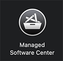 Managed Software Center Icon