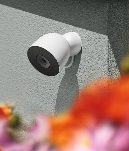 Image of snow Nest Cam Outdoor