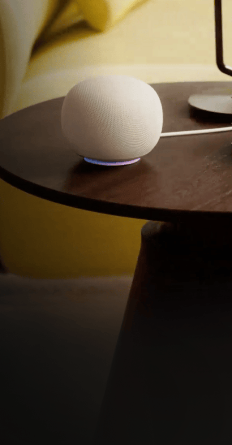 photo of a smart speaker