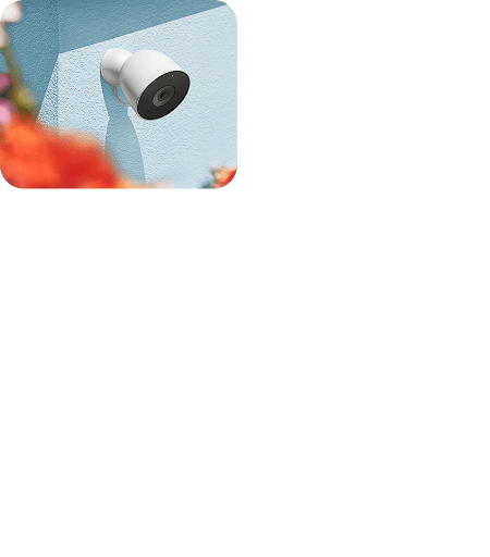 Snow Nest Cam Outdoor