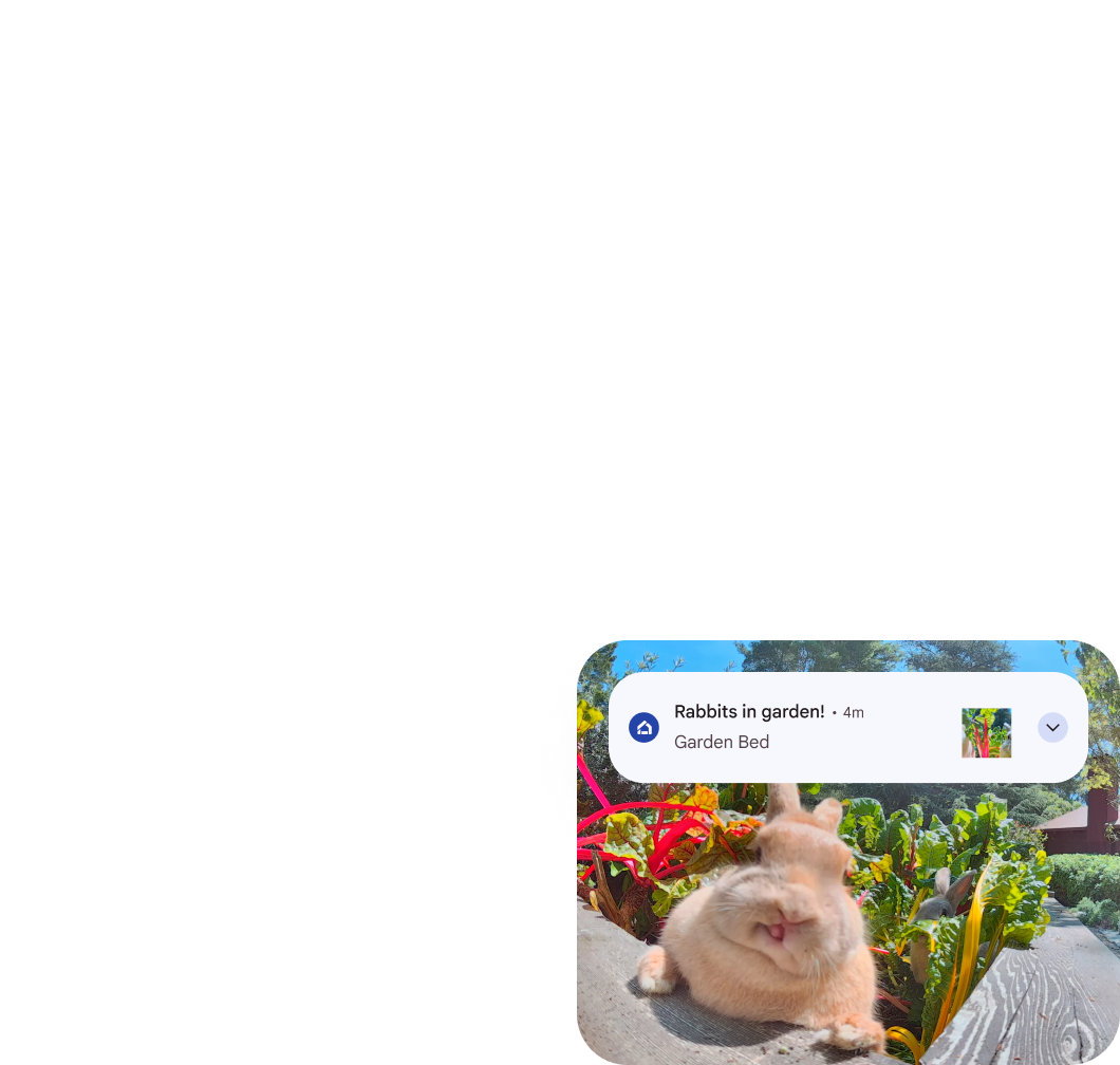 Image Collage