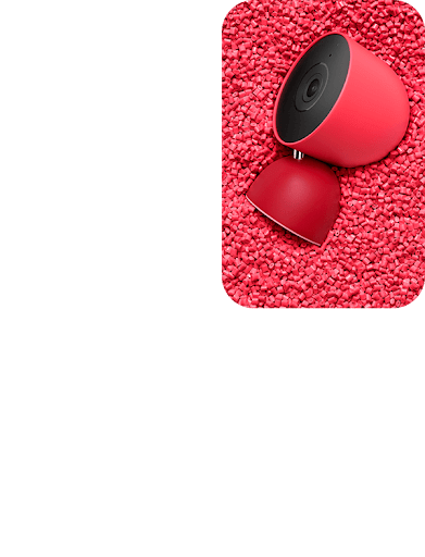 Image of berry indoor Nest Cam