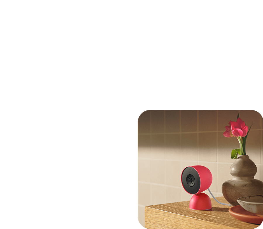 Berry Nest cam (indoor)