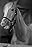 Mister Ed primary photo